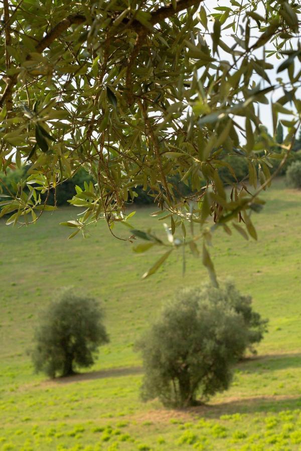 San Rocco Country House Pesaro Zewnętrze zdjęcie