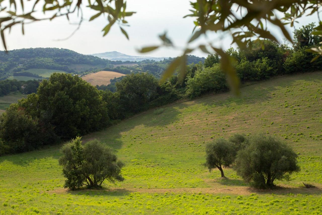 San Rocco Country House Pesaro Zewnętrze zdjęcie